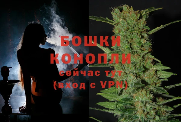 MESCALINE Аркадак