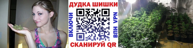 кракен сайт  Голицыно  Бошки марихуана конопля 
